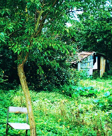 Der Garten