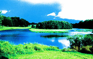 Die schwimmende Insel im Banktinsee